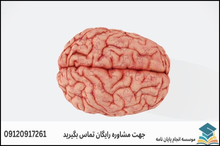 چرا پایاننامه روانشناسی توانبخشی شناختی دشوار و حساس است؟