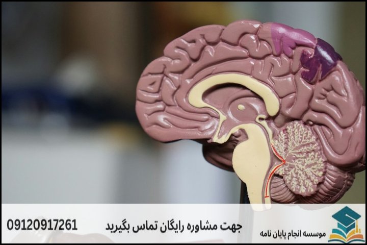 مشاوره پایان نامه رشته روانشناسی علوم شناختی + تضمینی