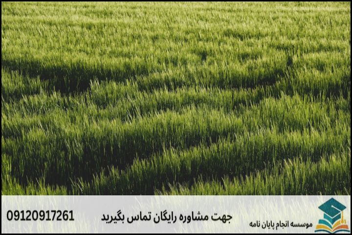 مشاوره پایان نامه رشته اصلاح و احیای مرتع + تضمینی